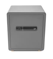 Trezor G21 na otisk prstu 400 x 450 x 350 mm (1)