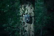 Fotopast Camouflage EZ2 Elite Dual Lens (3)