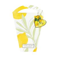 ALBI Difuzér - Citron Amalfi (1)