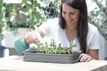 Sadbovač Prosperplast RESPANA TABLE GREENHOUSE šedý kámen 39,1 cm (2)