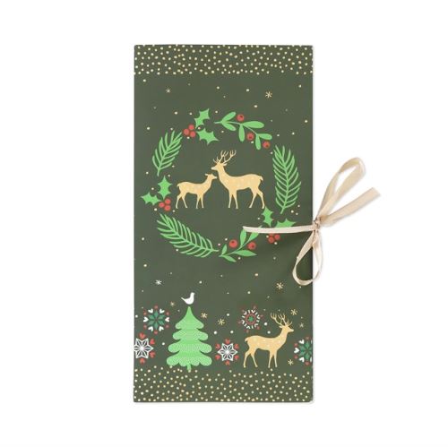ALBI Dárková krabička - Vánoční zelená