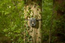 Fotopast Camouflage EZ2 Elite Dual Lens (4)