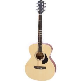 G11NAS / R-125 NAS westernová kytara
