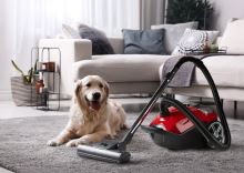 Sáčkový vysavač - ANIMAL PRO - DOMO DO42104S, Příkon: 800 W, 68 dB, Kabel 7 m, 8 nástavců (2)